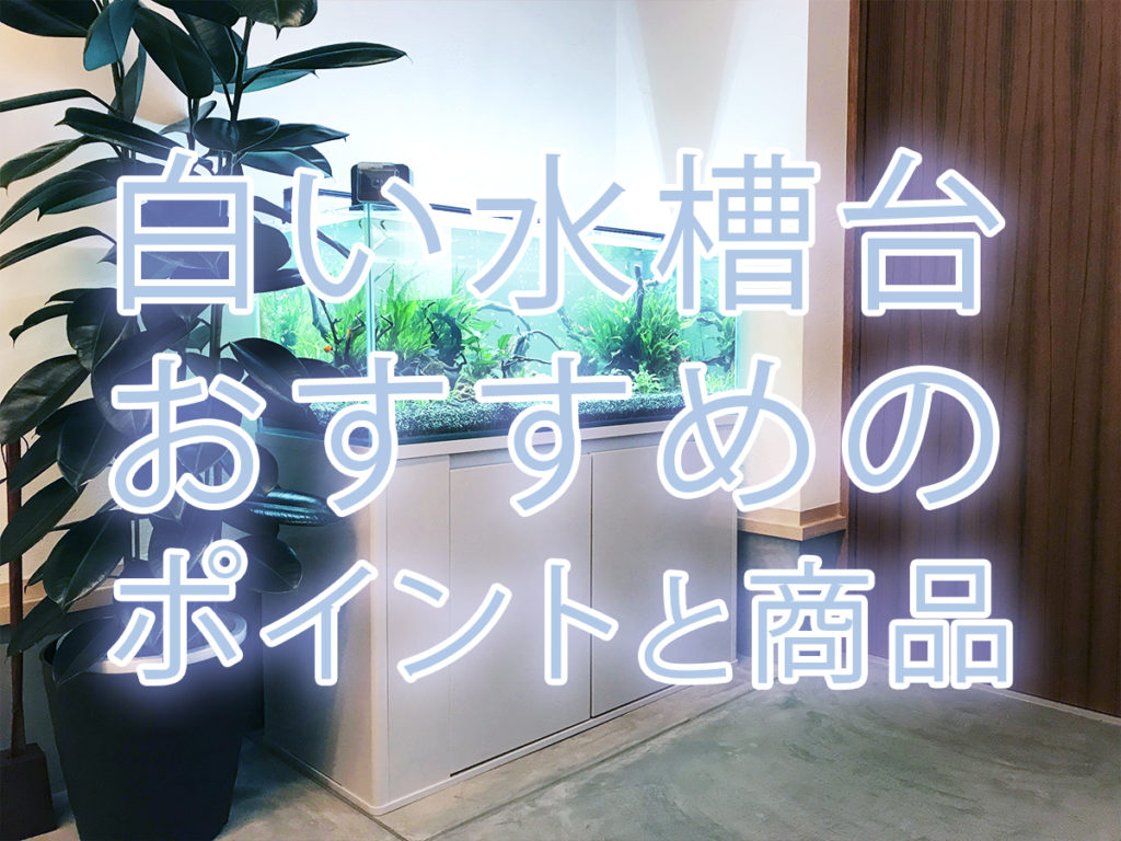 白い水槽台とは！白い水槽台のメリット・デメリットやおすすめ商品5選のサムネイル画像