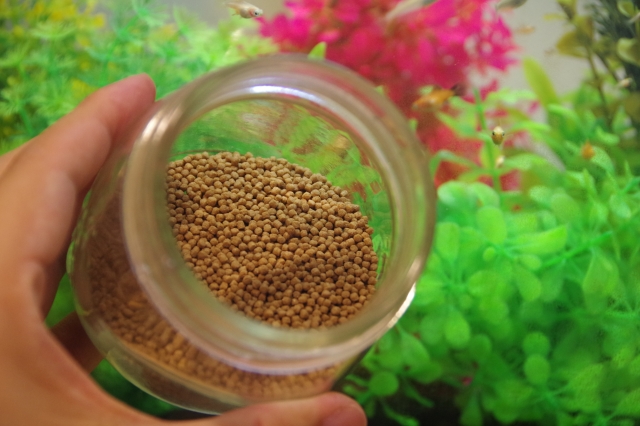 水槽を背景に瓶に入った茶色の粒状の魚の餌を持つ手