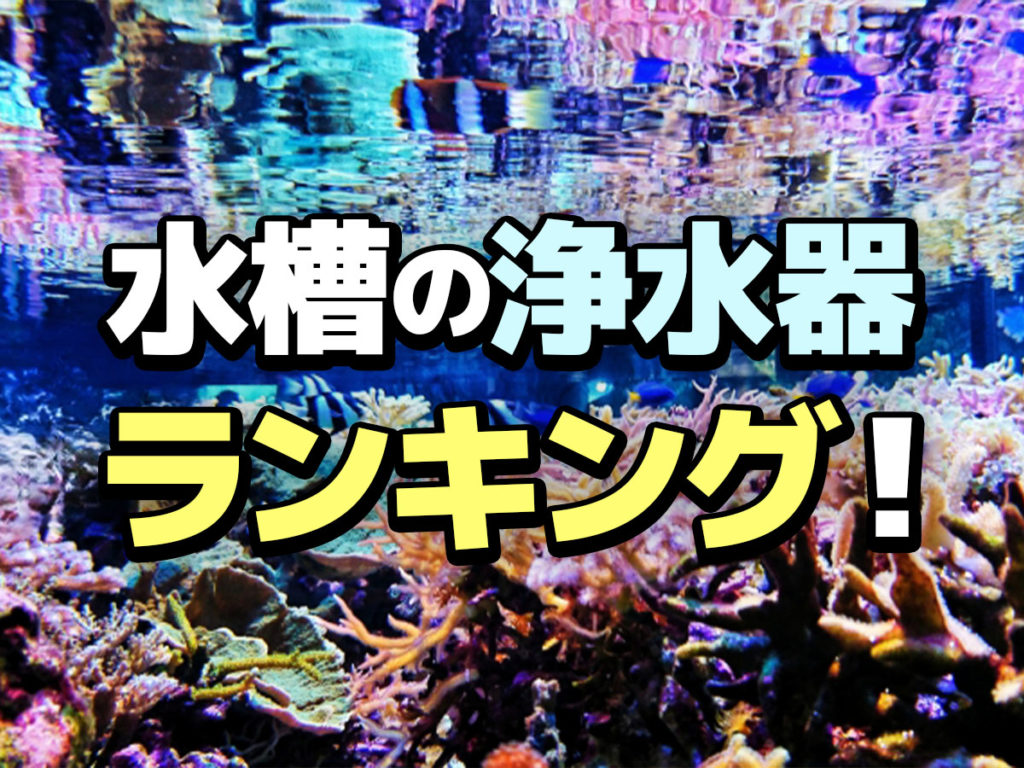 水槽の浄水器ランキング10！淡水・海水水槽に使用する浄水フィルターのサムネイル画像