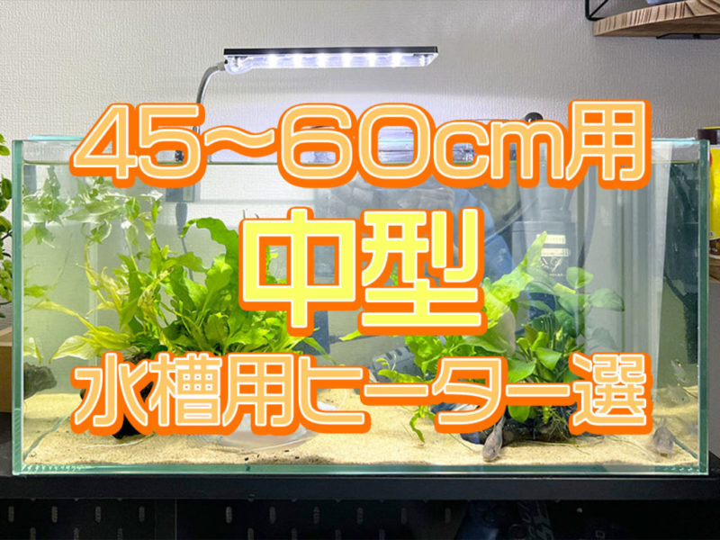 45〜60cm中型水槽用ヒーター選定の見出し画像