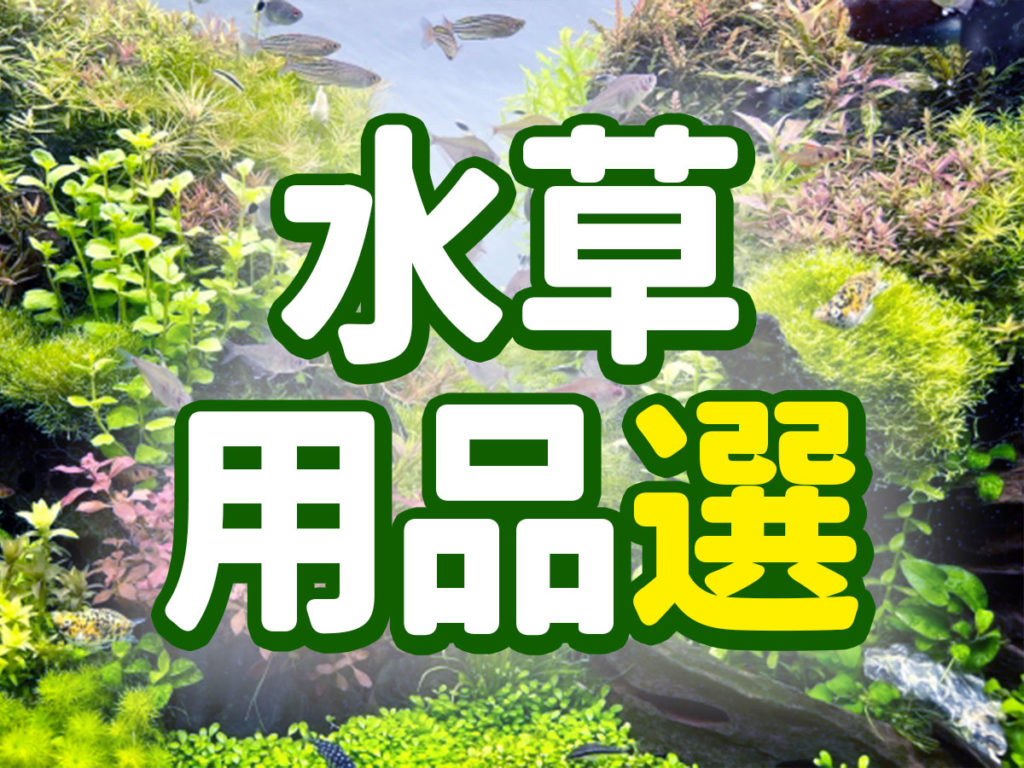 水草用品10選！水槽・育成スタイル別におすすめしたい水草アイテムを紹介のサムネイル画像