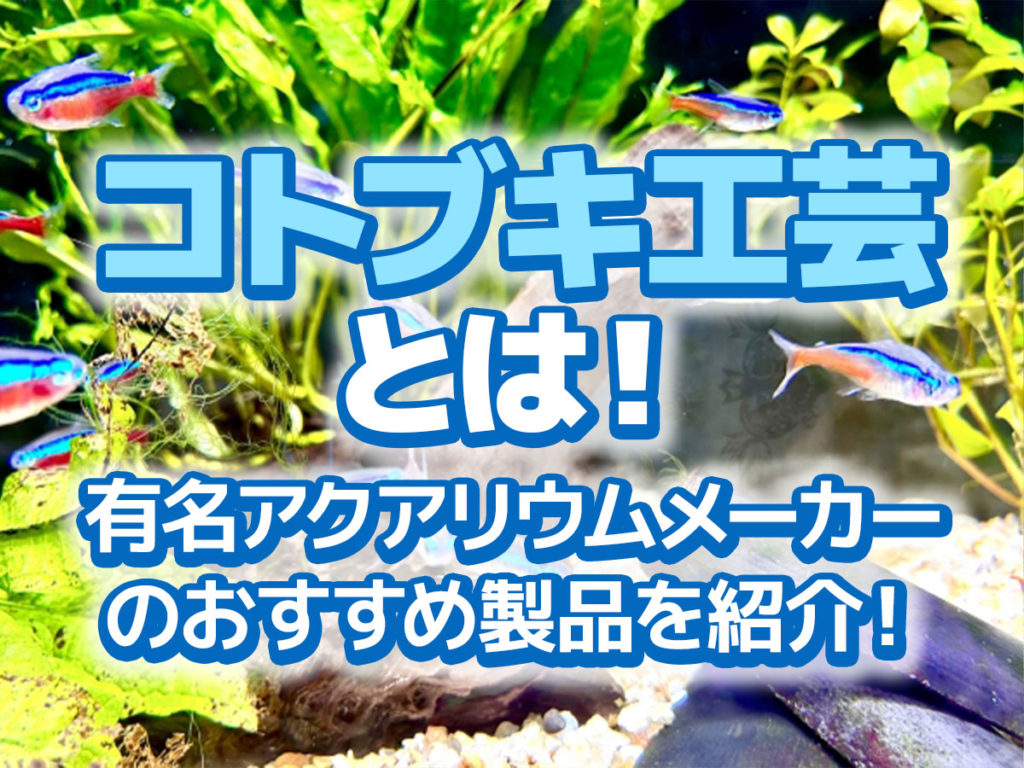 コトブキ工芸とは！有名アクアリウムメーカーとおすすめ製品5選のサムネイル画像