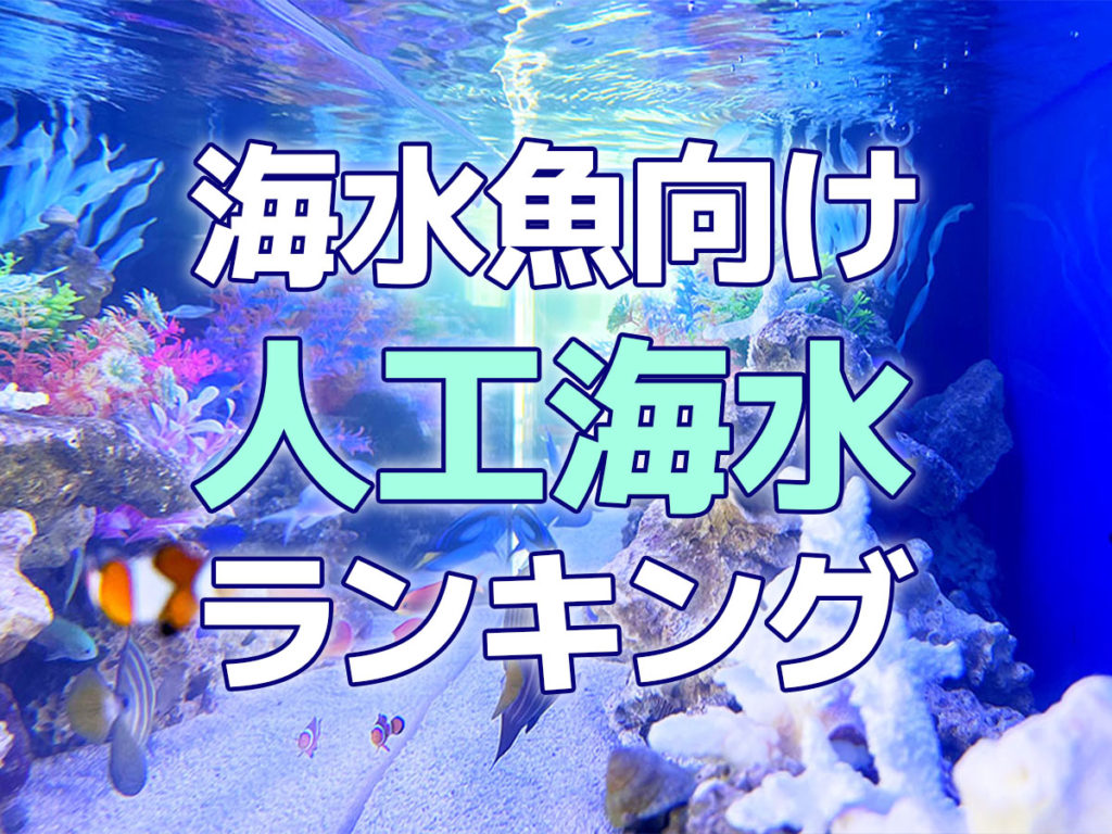 海水魚向け人工海水ランキング7!選定が必要な理由と最適な設備も紹介のサムネイル画像