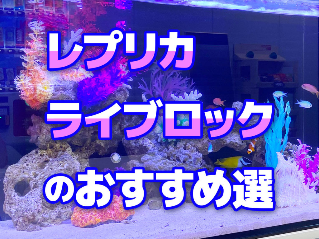 レプリカライブロック7選!海水水槽・サンゴ水槽向けの擬岩を特集!のサムネイル画像