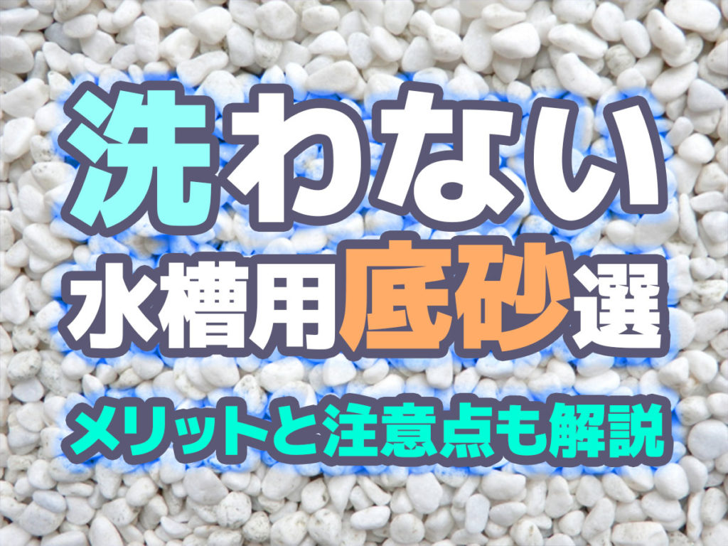 洗わない水槽用底砂10選!洗わない底砂のメリットと注意点も解説のサムネイル画像