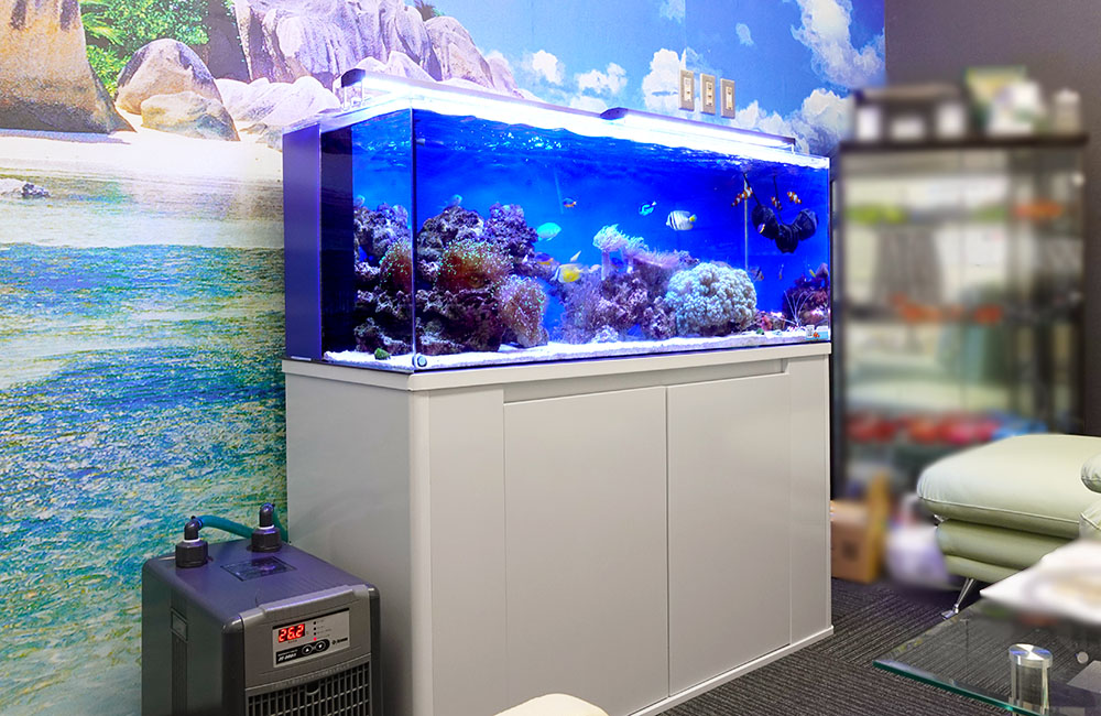 サンゴと海水魚が泳ぐ大型水槽と水槽用クーラーの設置風景