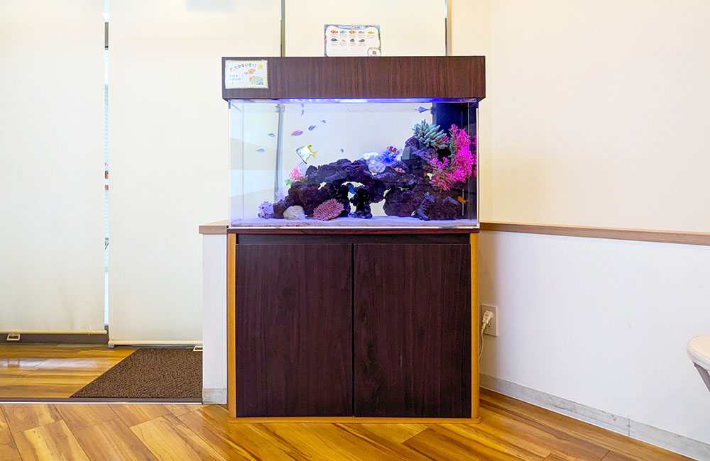 木目調キャビネットに設置された海水魚水槽と岩のレイアウト