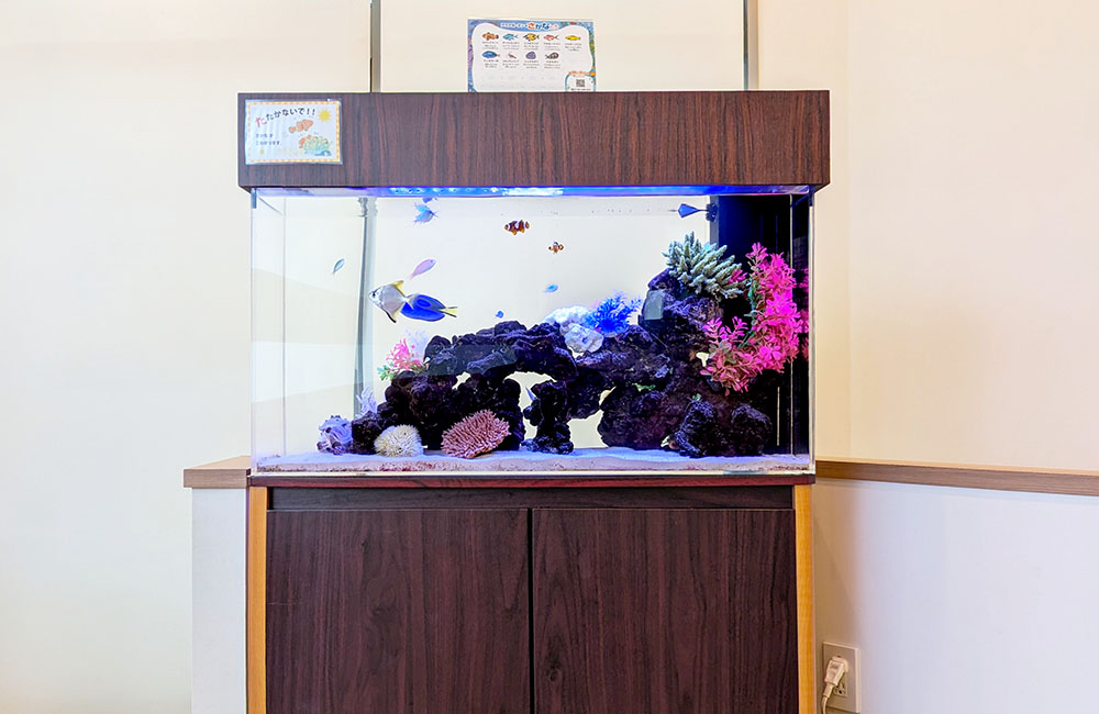 海水魚が泳ぐ木目調キャビネット設置の大型水槽