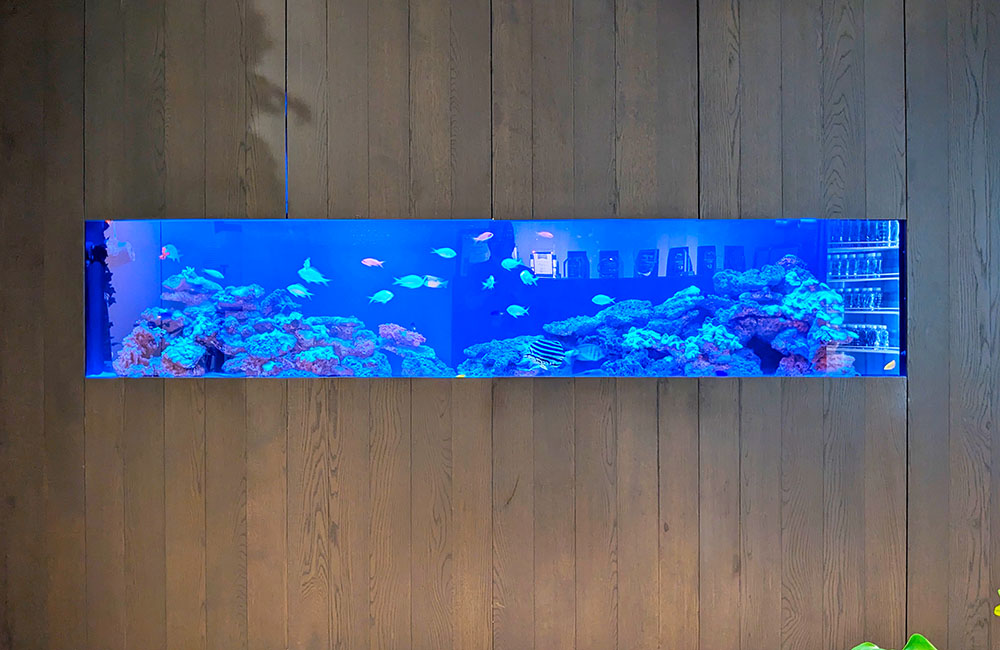 木目調の壁に埋め込まれた横長な海水魚水槽の全景