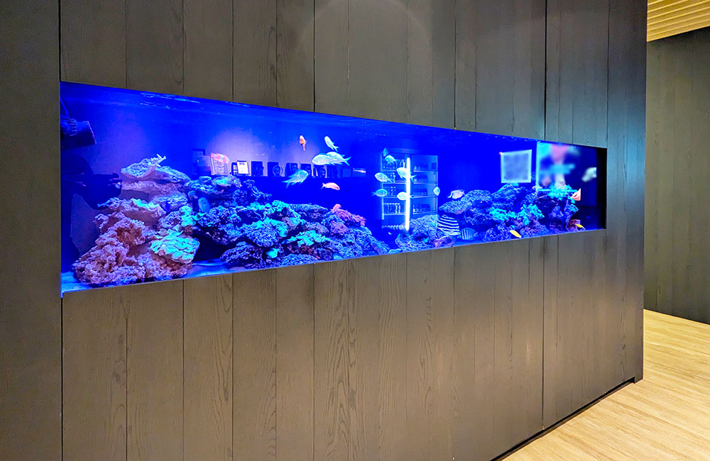 壁面に埋め込まれた青い照明の大型海水魚水槽