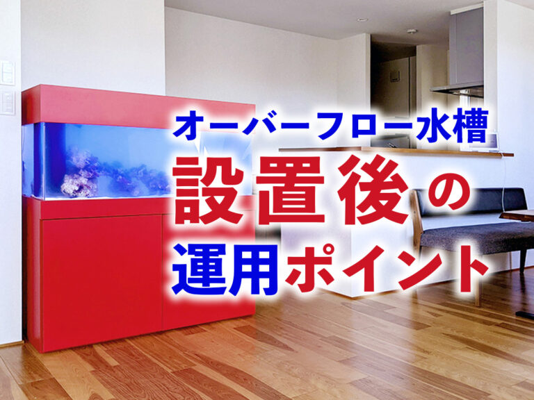 オーバーフロー水槽設置後の運用ポイントの見出し画像