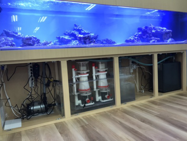 大型海水魚水槽と台座内のプロテインスキマー等のろ過設備