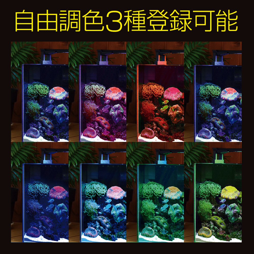 自由調色3種登録可能の文字と色が変わる海水魚水槽の画像