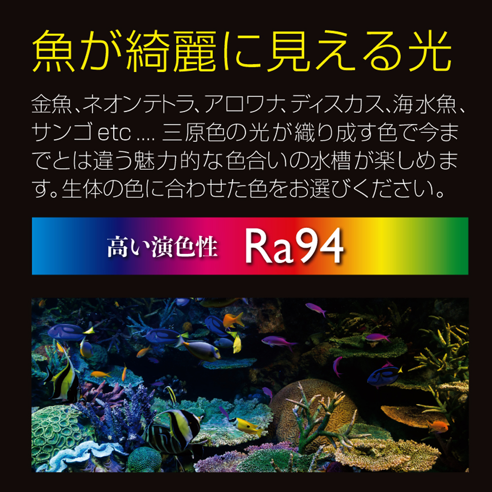 魚が綺麗に見える光と高い演色性Ra94の紹介画像