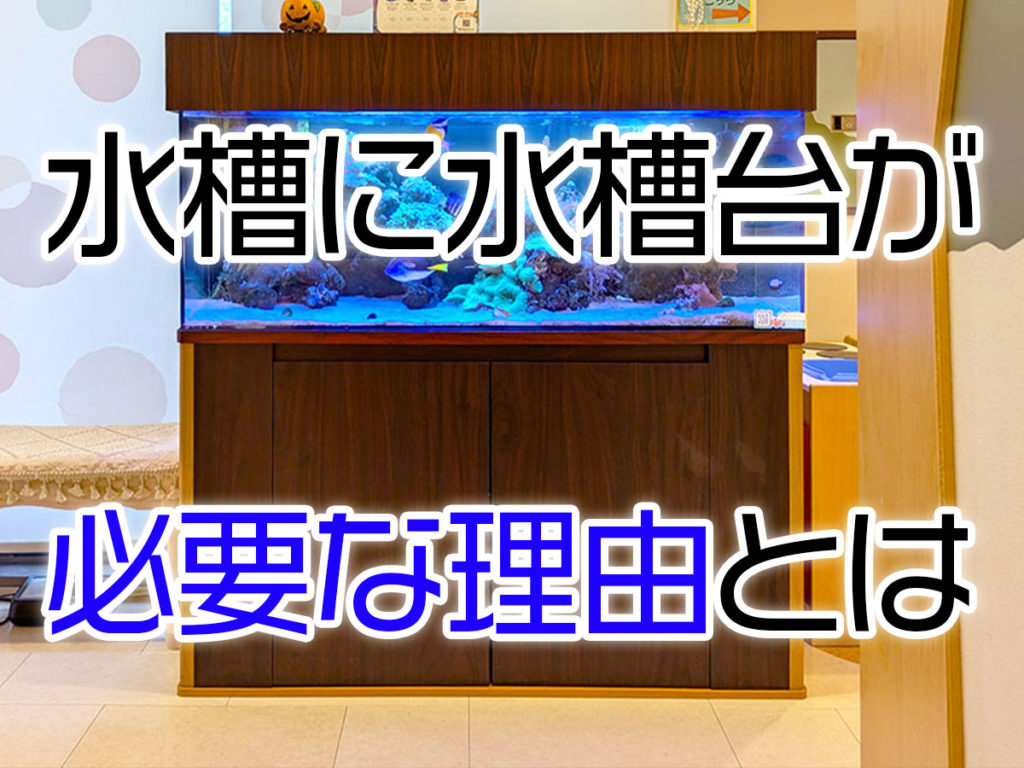 水槽に水槽台が必要な理由！水槽を支えるキャビネットのメリットを解説のサムネイル画像