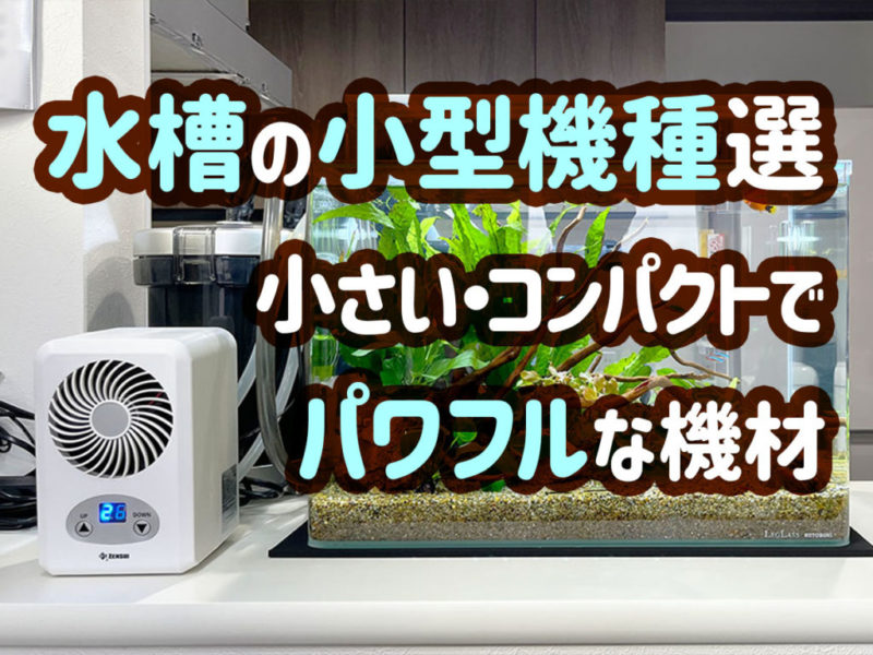 水槽の小型機種選定とパワフルな機材の見出し画像