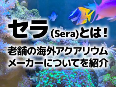 セラ（Sera）とは！
