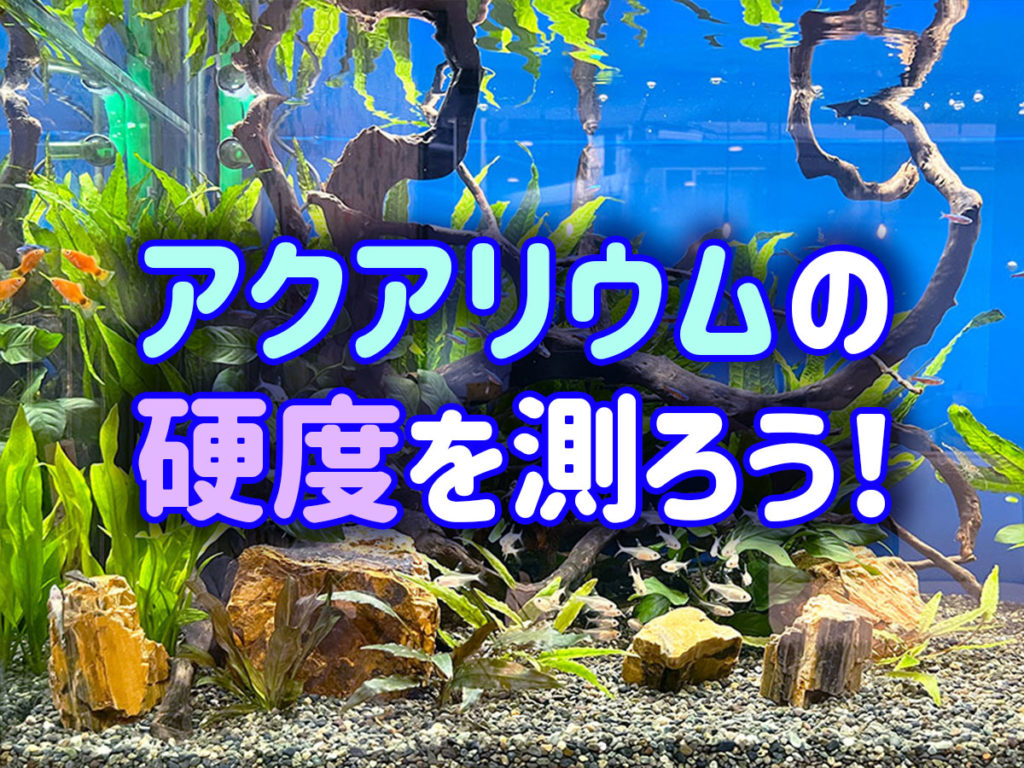 アクアリウムの硬度を測ろう!熱帯魚やエビなどに与える影響と上げ下げ方法のサムネイル画像
