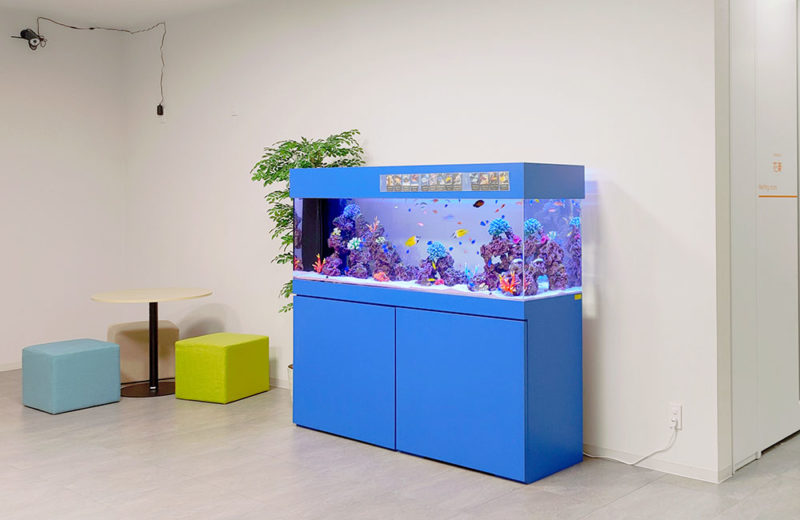 企業様の1.8m海水魚水槽!青い水槽台が特徴的な美しいアクアリウム 水槽画像5