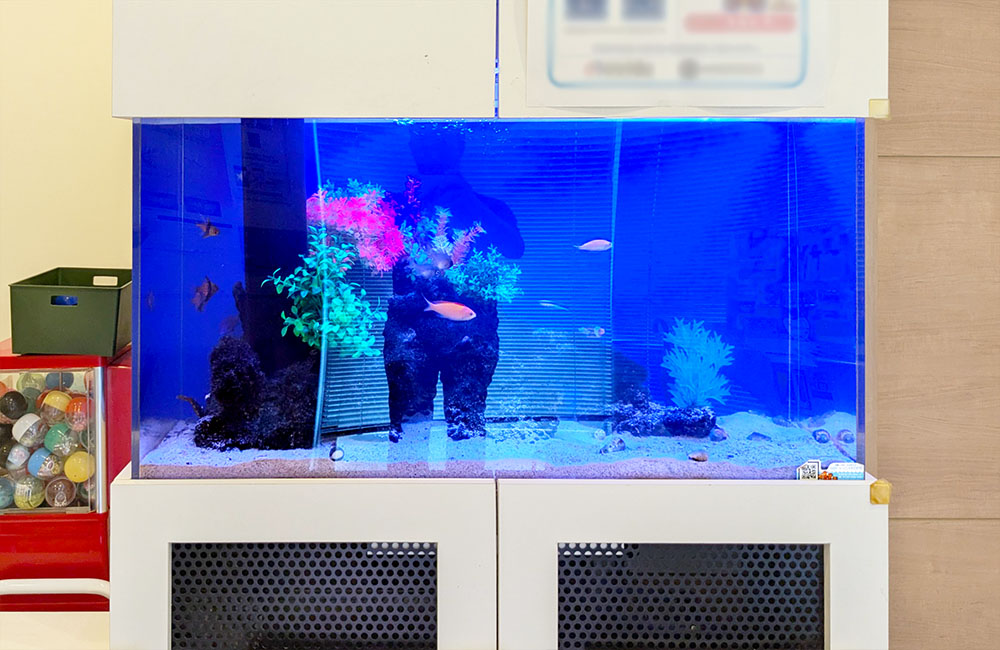 青い照明の海水魚水槽と白い専用水槽台の設置例