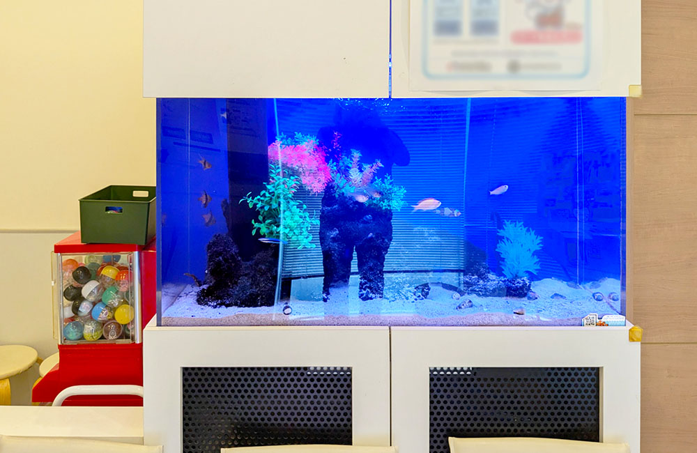 青い背景の大型水槽と人工水草や熱帯魚の泳ぐ店内風景