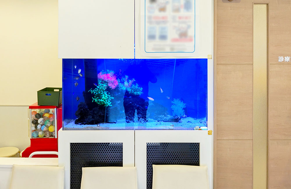 待合室の壁に埋め込まれた青い照明の海水魚水槽