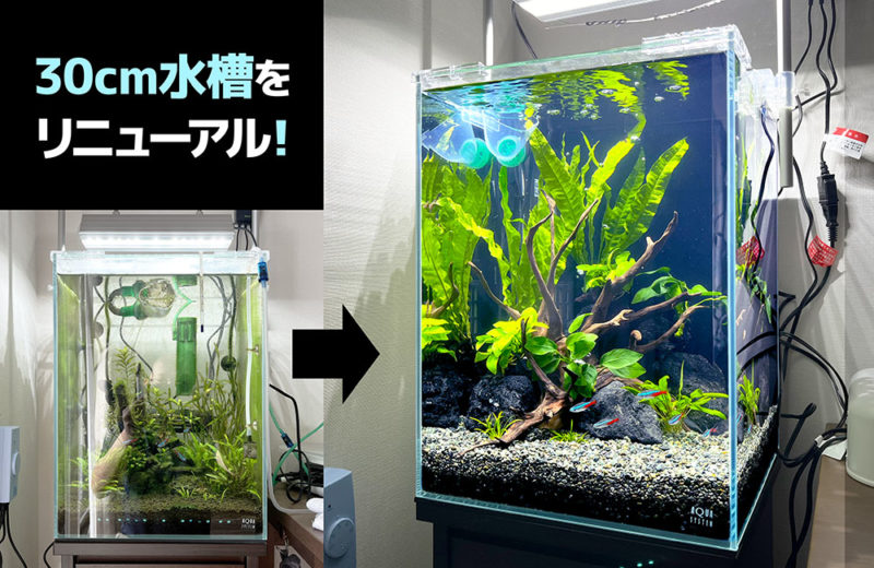 個人宅様の30cm水槽をリニューアル！管理と観賞がしやすいアクアリウム 水槽画像１
