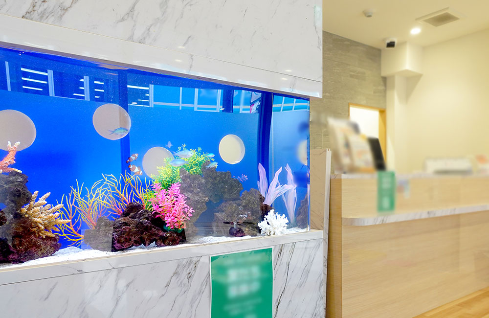 受付カウンター横に設置された海水魚水槽とサンゴの装飾