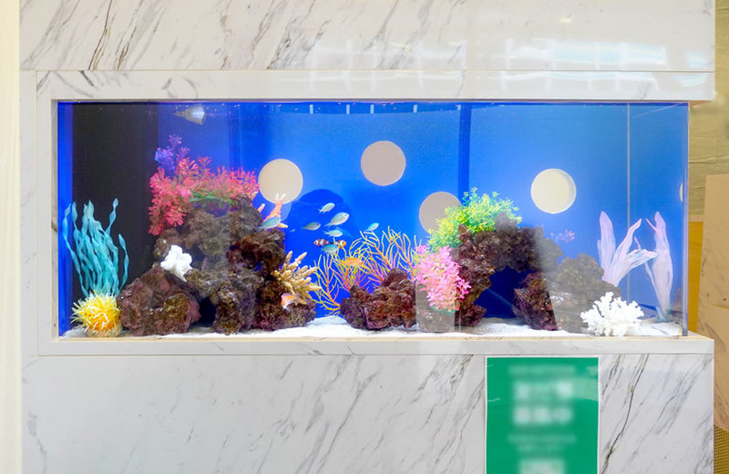 大理石調の120cm埋め込み水槽！歯科様の水槽を販売・メンテナンス 水槽画像５