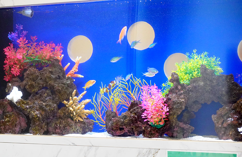 青い背景に海水魚と人工サンゴを配置した水槽内景