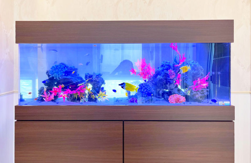 エントランスにレンタル!クリニック様の150cm大型海水魚水槽 水槽画像4