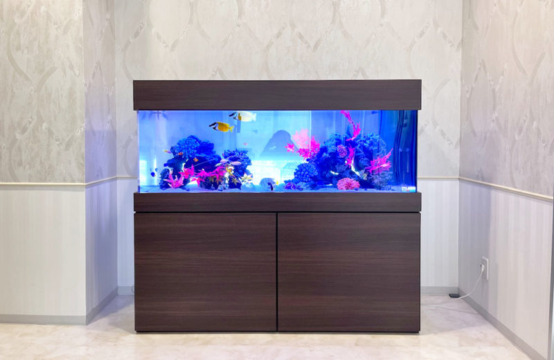 エントランスにレンタル!クリニック様の150cm大型海水魚水槽 水槽画像5