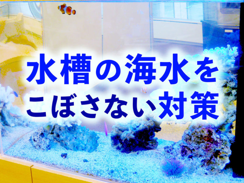 水槽の海水をこぼさない対策の文字入り海水魚水槽画像