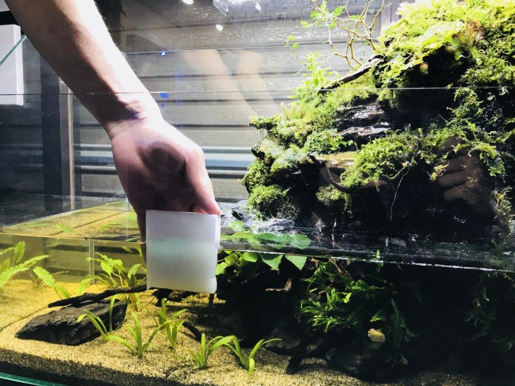 アクアテラリウム水槽に白い容器で注水する人の手