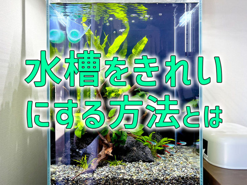 水槽をきれいにする方法とはの文字入り見出し画像