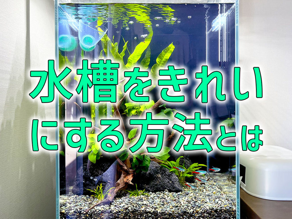 水槽をキレイにするには!コケ・臭い・水垢・小傷の対策と掃除方法を紹介のサムネイル画像