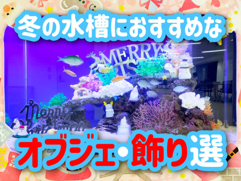 冬の水槽におすすめなオブジェ・飾り選の見出し画像