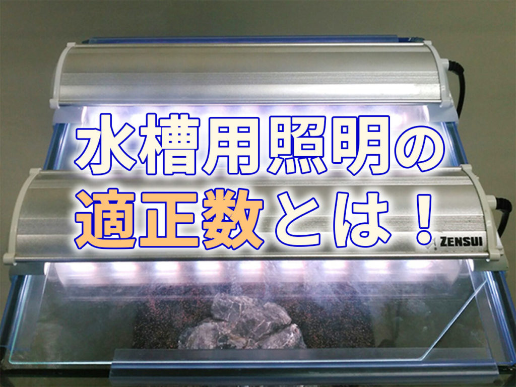 水槽用照明の数は水槽レイアウトで決める!LED照明の適正数を解説のサムネイル画像