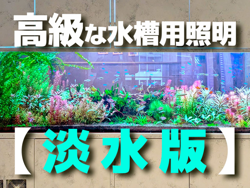 高級な水槽用照明【淡水版】ハイエンドな照明はどこが違う?おすすめ7選のサムネイル画像