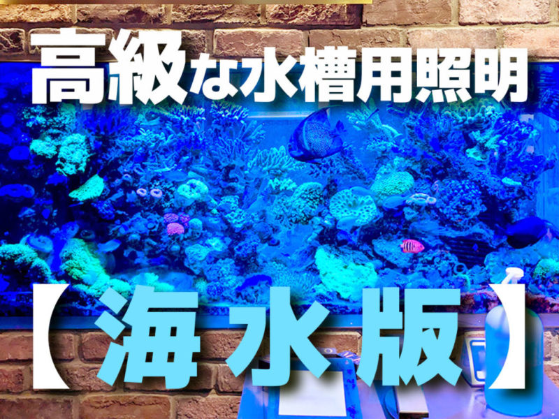 高級な水槽用照明海水版の文字が入ったサンゴ水槽画像