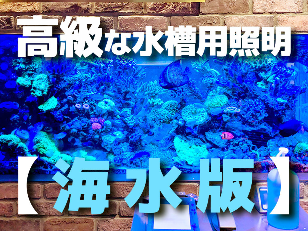高級な水槽用照明【海水版】サンゴや海水魚を育成!おすすめ7選のサムネイル画像