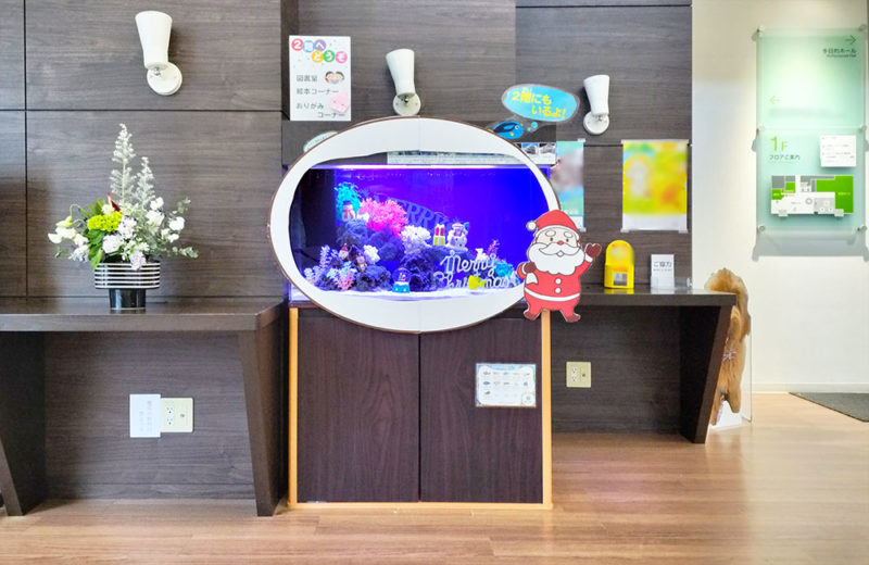 施設様のクリスマス水槽!90cm海水魚水槽を飾り付け・その1 水槽画像2