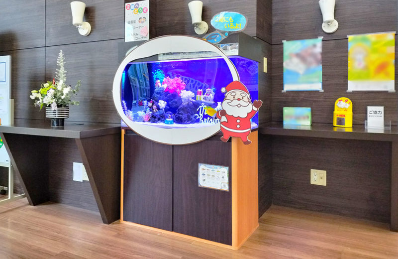 施設様のクリスマス水槽!90cm海水魚水槽を飾り付け・その1 水槽画像5