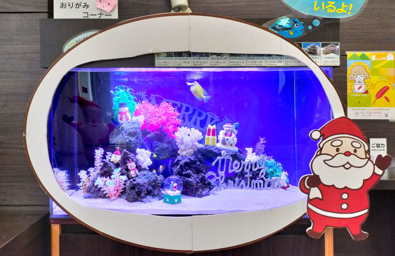 施設様のクリスマス水槽!90cm海水魚水槽を飾り付け・その1 水槽画像3