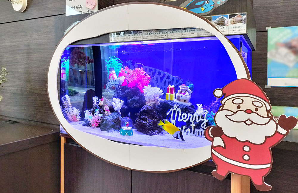 サンタの装飾と青い照明のクリスマス仕様海水魚水槽