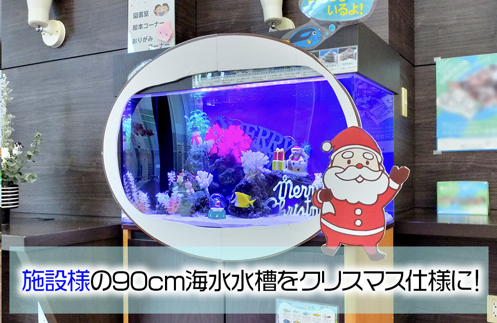施設様のクリスマス水槽！90cm海水魚水槽を飾り付け・その1のサムネイル画像