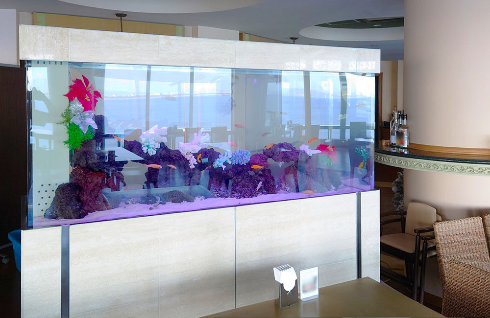 飲食店に設置された大型の海水魚水槽とサンゴのオブジェ