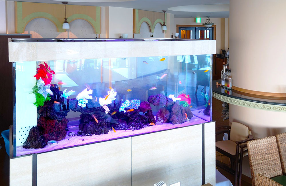 飲食店内に設置された大型の海水魚水槽と泳ぐ熱帯魚