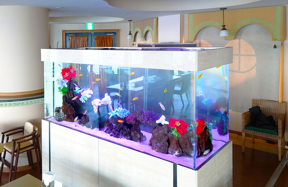 造花と岩で装飾された大型海水魚水槽と店内の内装