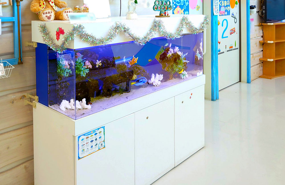 クリスマス装飾を施した白い大型海水魚水槽
